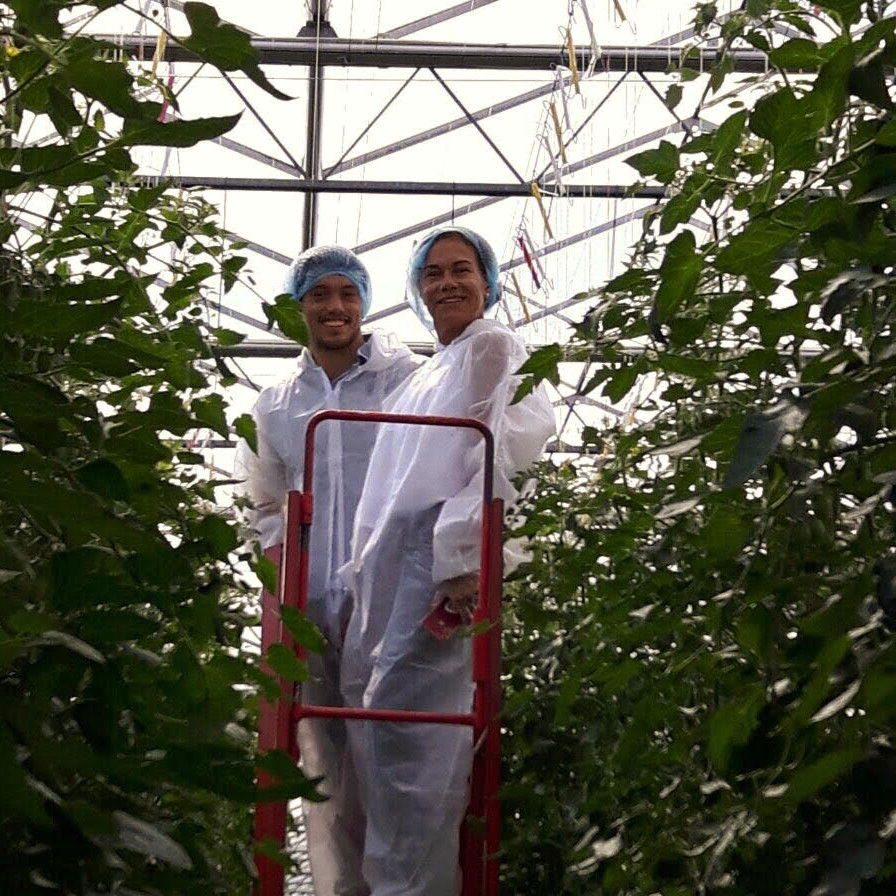 greenhouse